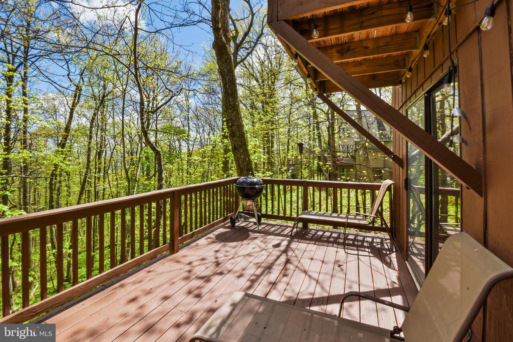 195 WHITE OAK DR, ROSELAND, Virginia 22967, 3 Bedrooms Bedrooms, ,2 BathroomsBathrooms,Residential,195 WHITE OAK DR,VANL2000500 MLS # VANL2000500