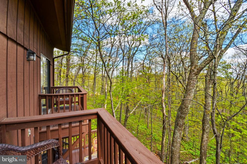 195 WHITE OAK DR, ROSELAND, Virginia 22967, 3 Bedrooms Bedrooms, ,2 BathroomsBathrooms,Residential,195 WHITE OAK DR,VANL2000500 MLS # VANL2000500