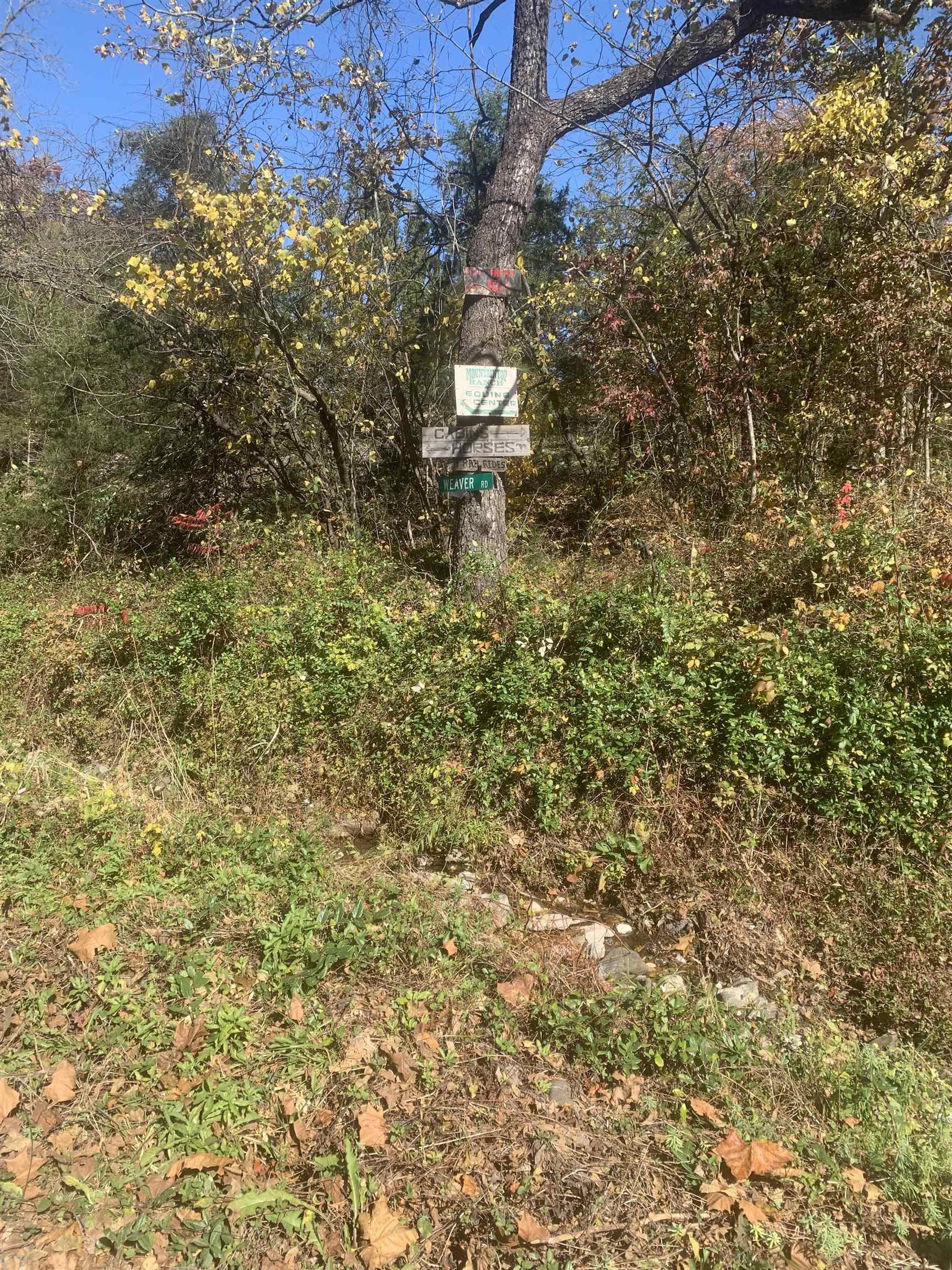 TBD NAKED CREEK RD, ELKTON, Virginia 22827, ,Farm,TBD NAKED CREEK RD,652611 MLS # 652611