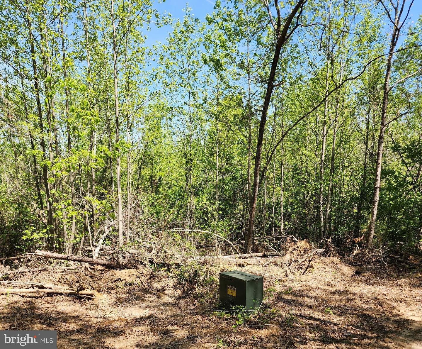 MASSEY RD, SPOTSYLVANIA, Virginia 22551, ,Land,For sale,MASSEY RD,VASP2032842 MLS # VASP2032842
