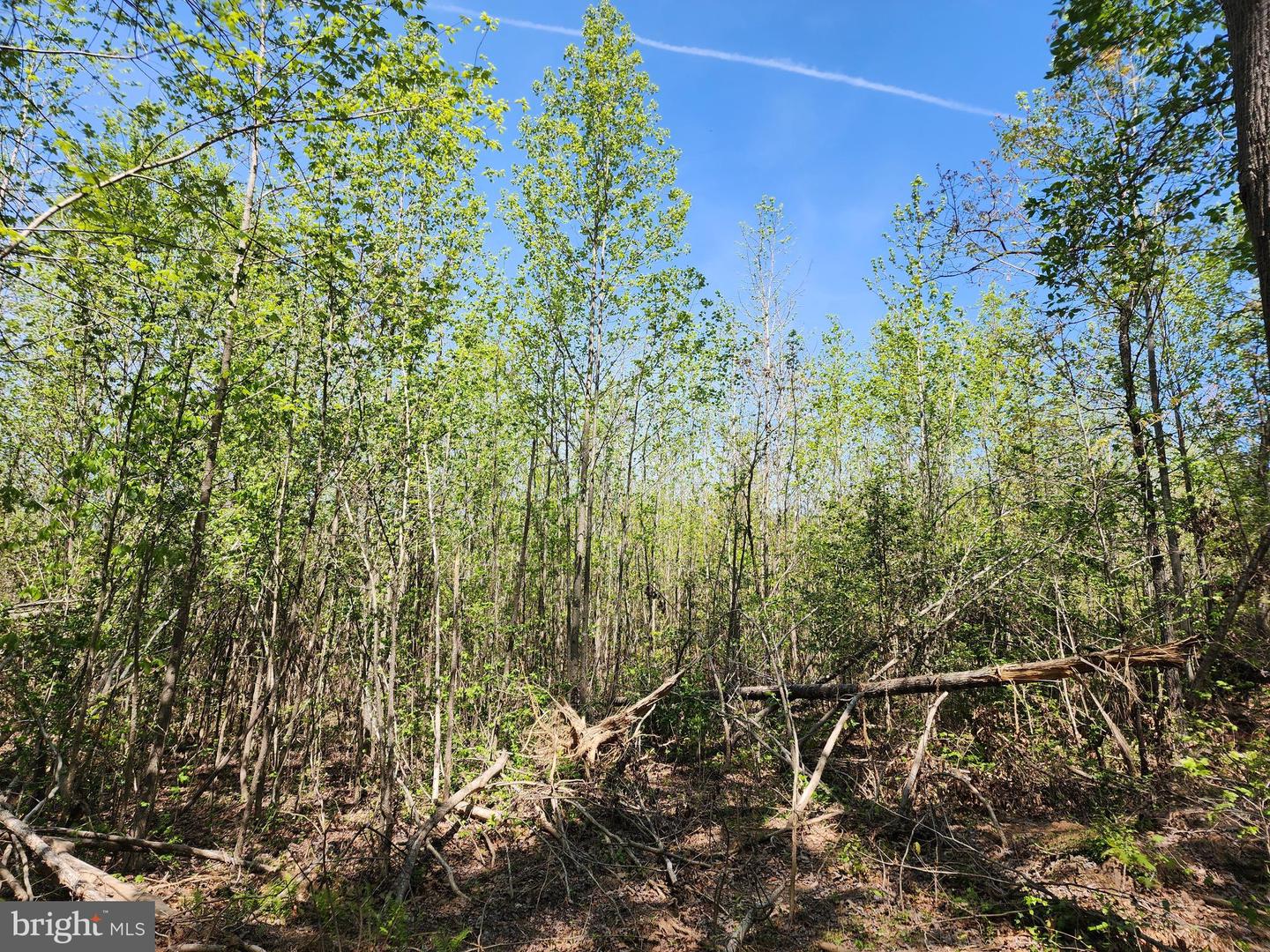 MASSEY RD, SPOTSYLVANIA, Virginia 22551, ,Land,For sale,MASSEY RD,VASP2032842 MLS # VASP2032842