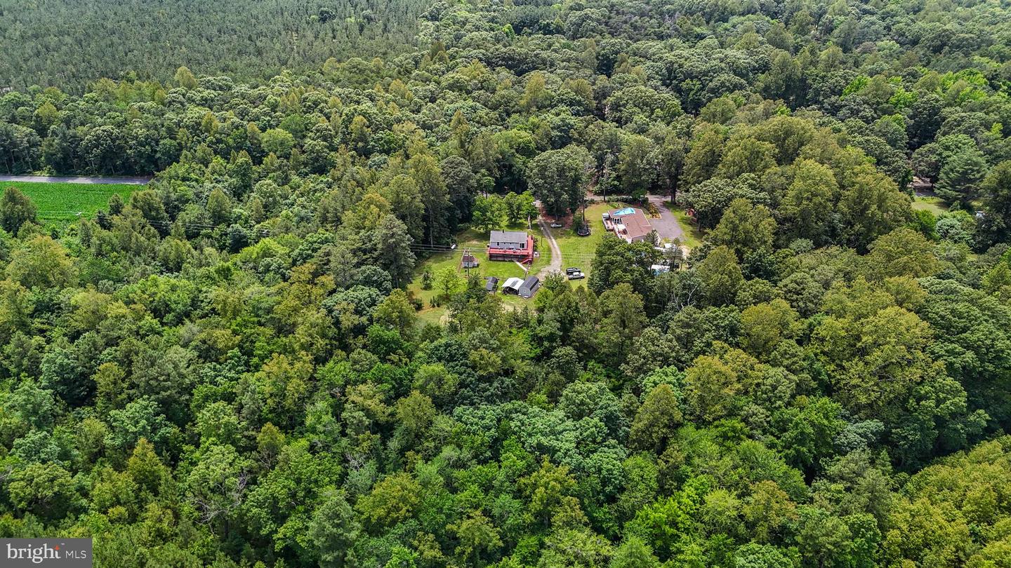 DRY BRIDGE RD, RUTHER GLEN, Virginia 22546, ,Land,For sale,DRY BRIDGE RD,VACV2008102 MLS # VACV2008102