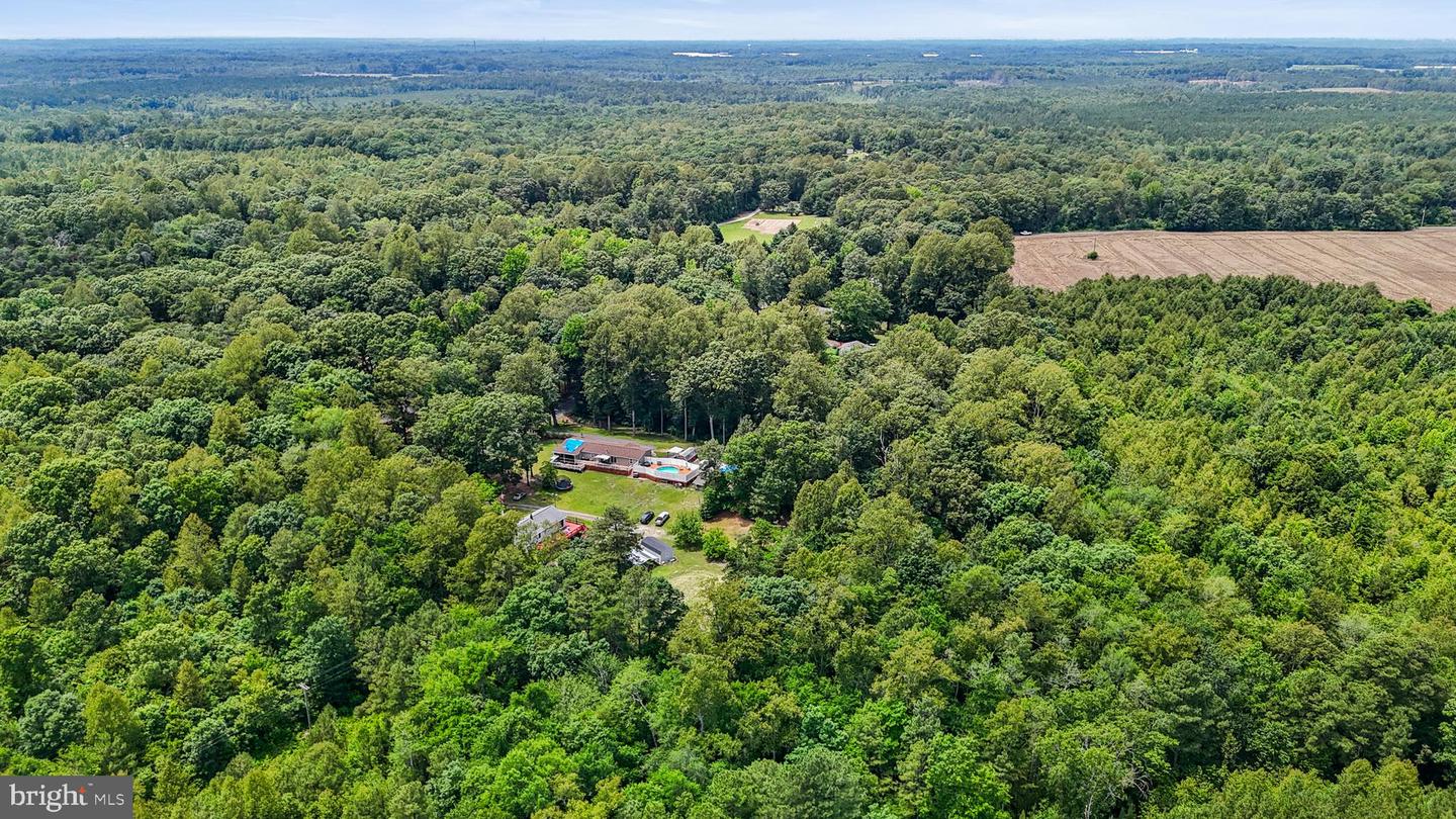 DRY BRIDGE RD, RUTHER GLEN, Virginia 22546, ,Land,For sale,DRY BRIDGE RD,VACV2008102 MLS # VACV2008102