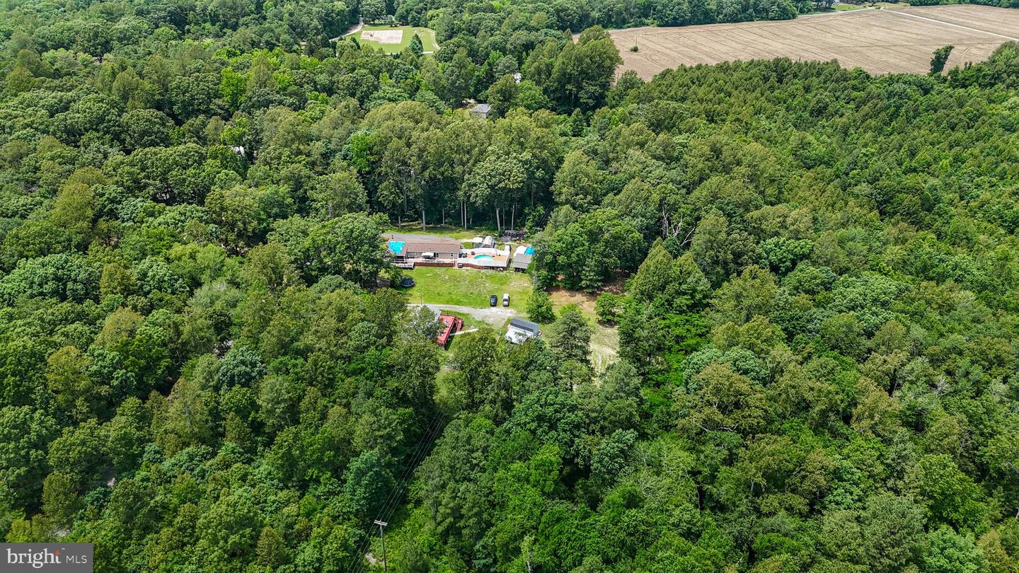 DRY BRIDGE RD, RUTHER GLEN, Virginia 22546, ,Land,For sale,DRY BRIDGE RD,VACV2008102 MLS # VACV2008102