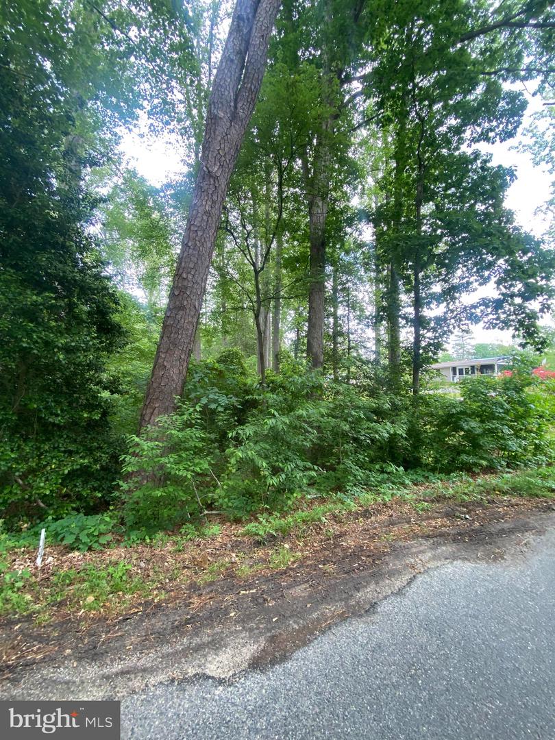 DRY BRIDGE RD, RUTHER GLEN, Virginia 22546, ,Land,For sale,DRY BRIDGE RD,VACV2008102 MLS # VACV2008102