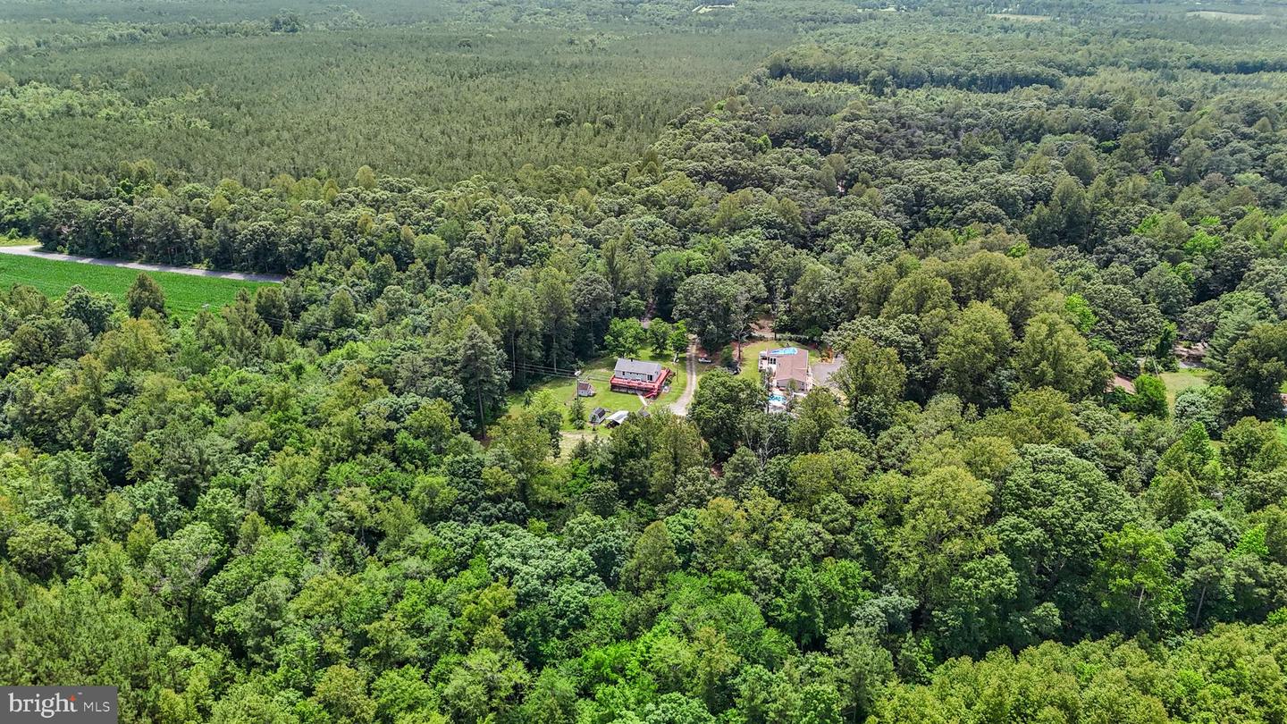 DRY BRIDGE RD, RUTHER GLEN, Virginia 22546, ,Land,For sale,DRY BRIDGE RD,VACV2008102 MLS # VACV2008102
