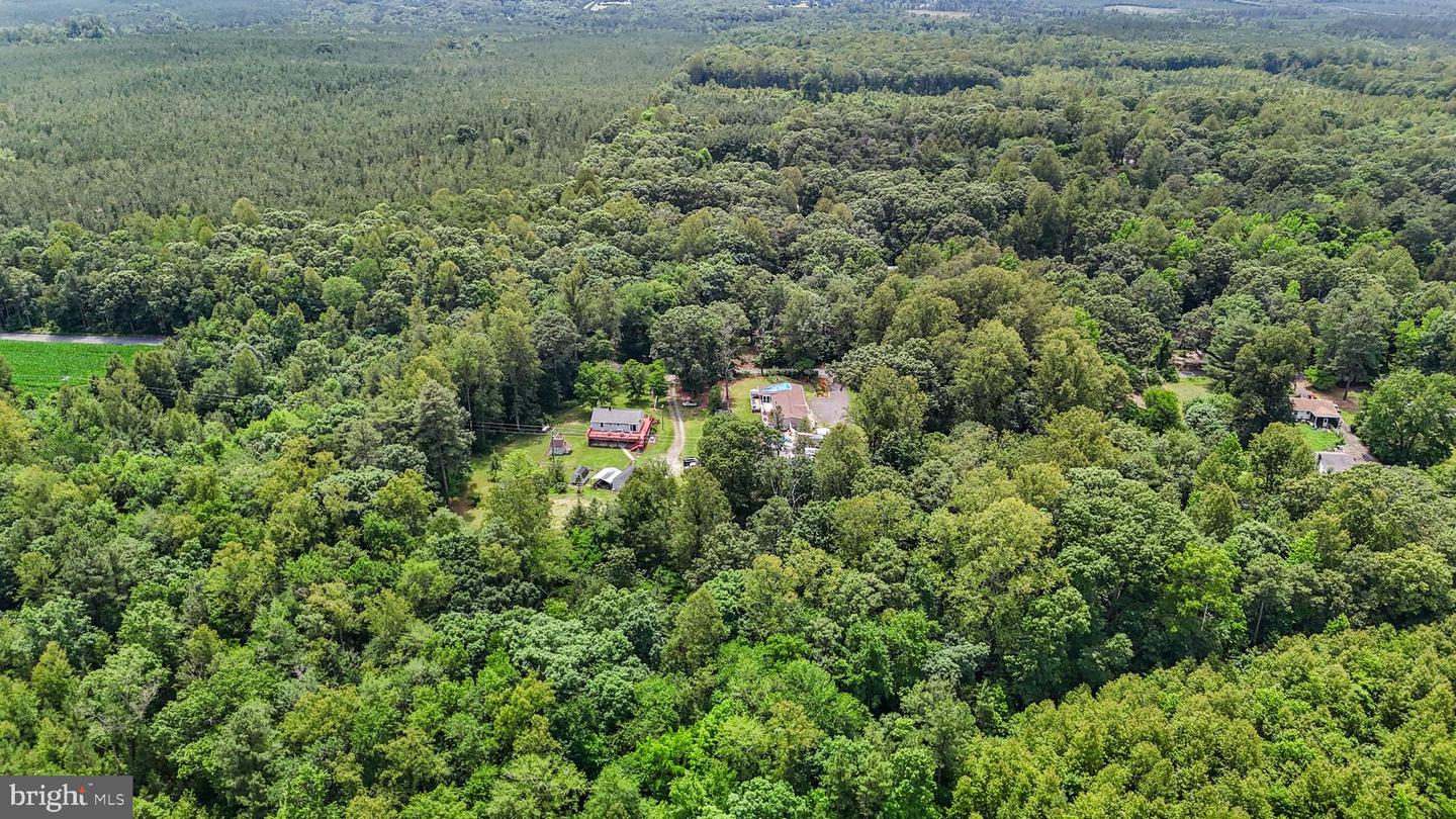 DRY BRIDGE RD, RUTHER GLEN, Virginia 22546, ,Land,For sale,DRY BRIDGE RD,VACV2008102 MLS # VACV2008102