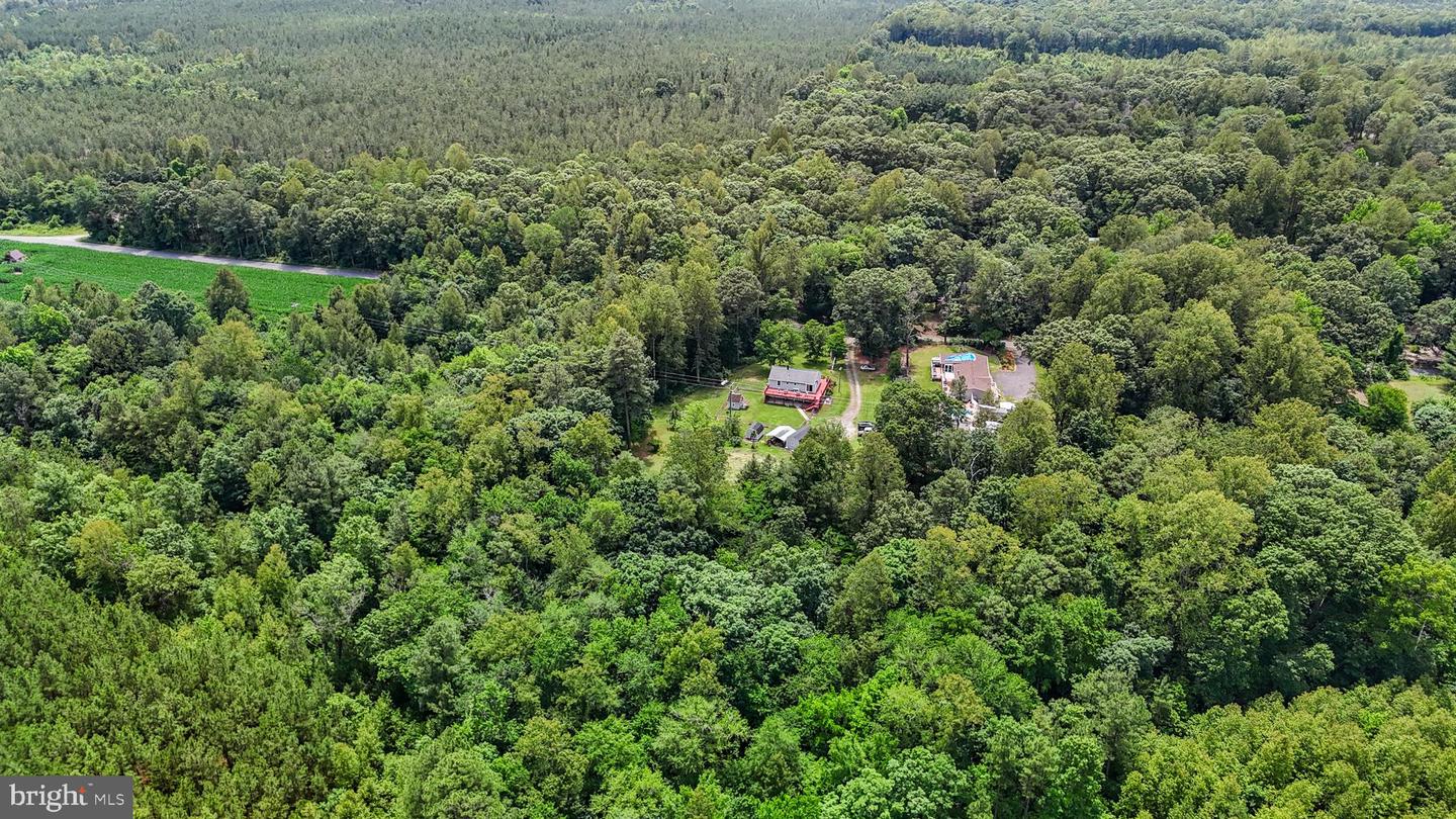 DRY BRIDGE RD, RUTHER GLEN, Virginia 22546, ,Land,For sale,DRY BRIDGE RD,VACV2008102 MLS # VACV2008102