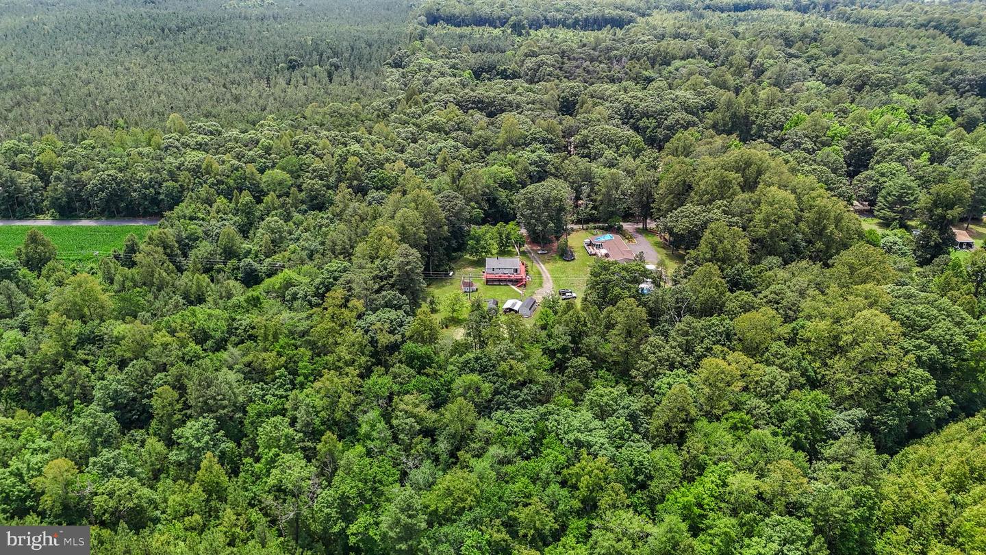 DRY BRIDGE RD, RUTHER GLEN, Virginia 22546, ,Land,For sale,DRY BRIDGE RD,VACV2008102 MLS # VACV2008102