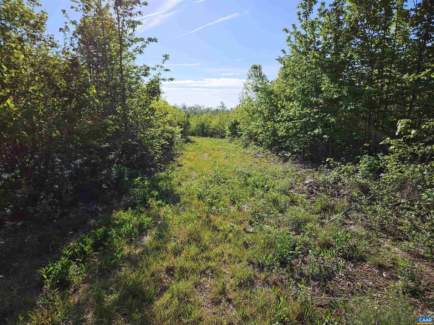 TBD ANDERSONVILLE RD, DILLWYN, Virginia 23936, ,Farm,For sale,TBD ANDERSONVILLE RD,664236 MLS # 664236