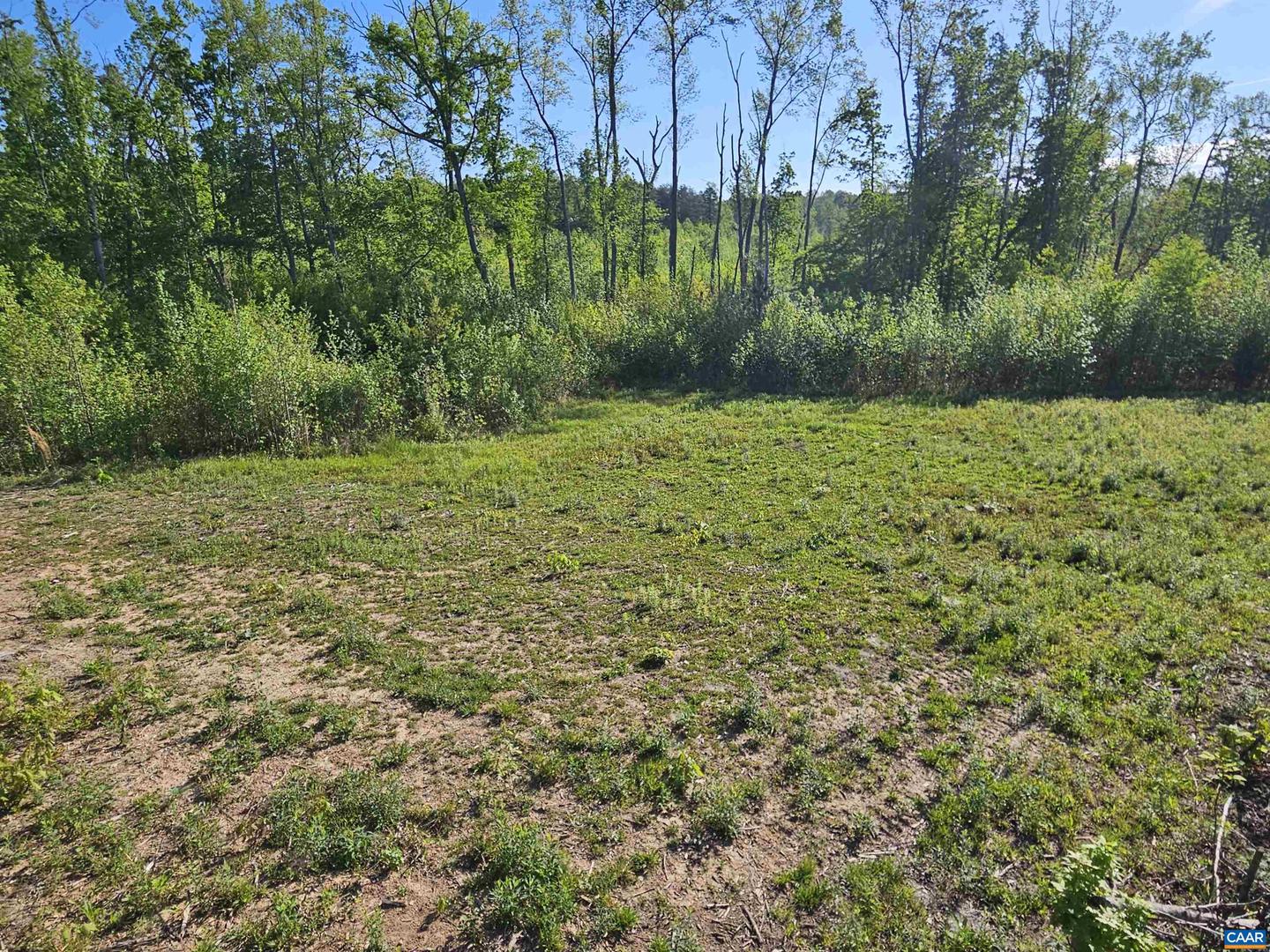 TBD ANDERSONVILLE RD, DILLWYN, Virginia 23936, ,Farm,For sale,TBD ANDERSONVILLE RD,664236 MLS # 664236