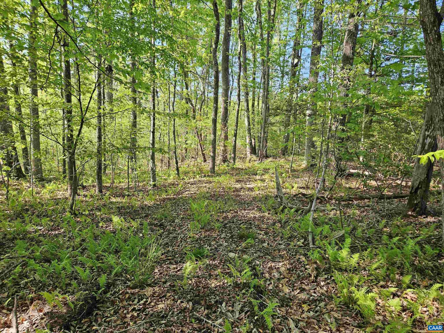 TBD ANDERSONVILLE RD, DILLWYN, Virginia 23936, ,Farm,For sale,TBD ANDERSONVILLE RD,664236 MLS # 664236