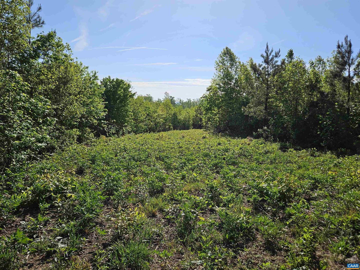 TBD ANDERSONVILLE RD, DILLWYN, Virginia 23936, ,Farm,For sale,TBD ANDERSONVILLE RD,664236 MLS # 664236
