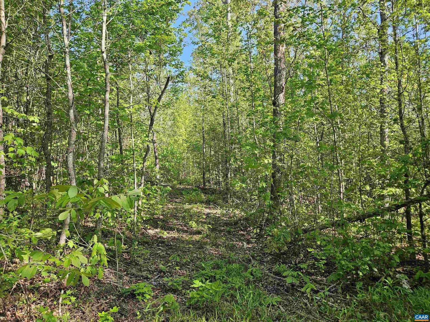 TBD ANDERSONVILLE RD, DILLWYN, Virginia 23936, ,Farm,For sale,TBD ANDERSONVILLE RD,664236 MLS # 664236
