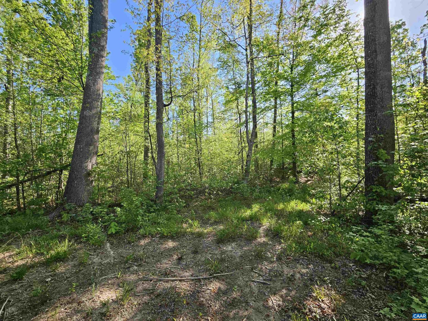 TBD ANDERSONVILLE RD, DILLWYN, Virginia 23936, ,Farm,For sale,TBD ANDERSONVILLE RD,664236 MLS # 664236