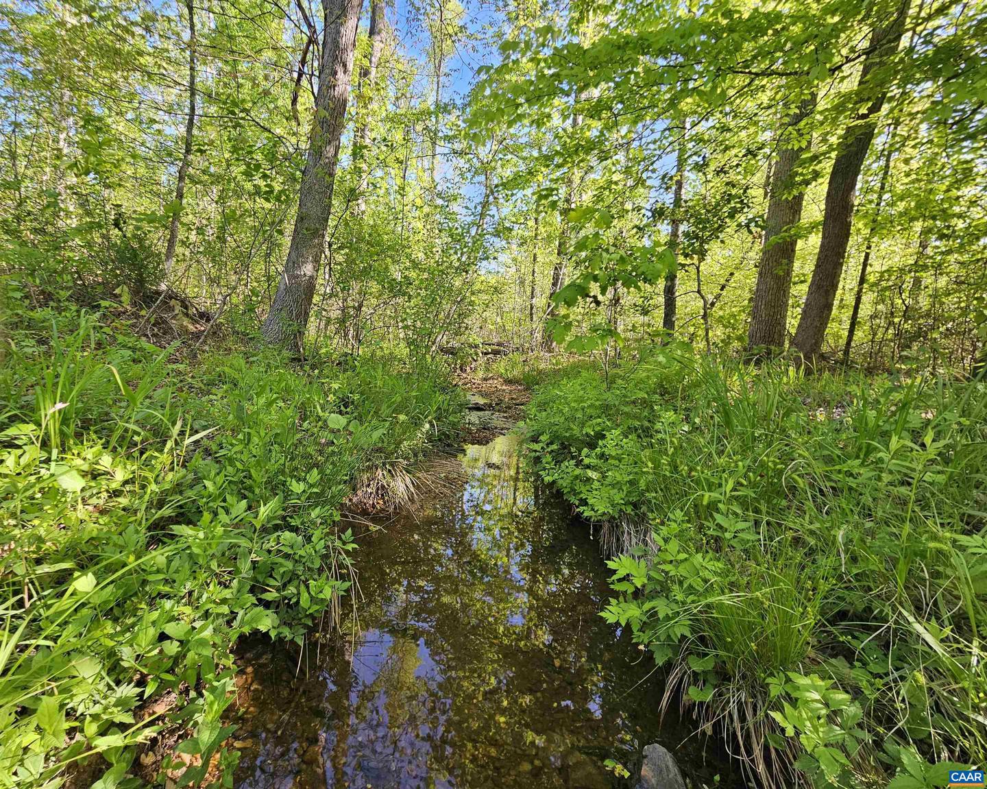 TBD ANDERSONVILLE RD, DILLWYN, Virginia 23936, ,Farm,For sale,TBD ANDERSONVILLE RD,664236 MLS # 664236