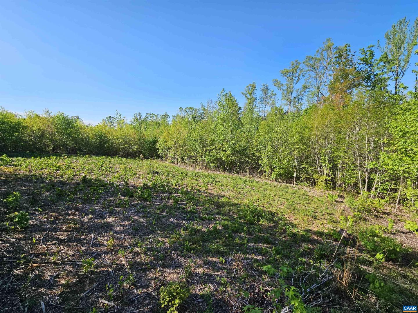 TBD ANDERSONVILLE RD, DILLWYN, Virginia 23936, ,Farm,For sale,TBD ANDERSONVILLE RD,664236 MLS # 664236