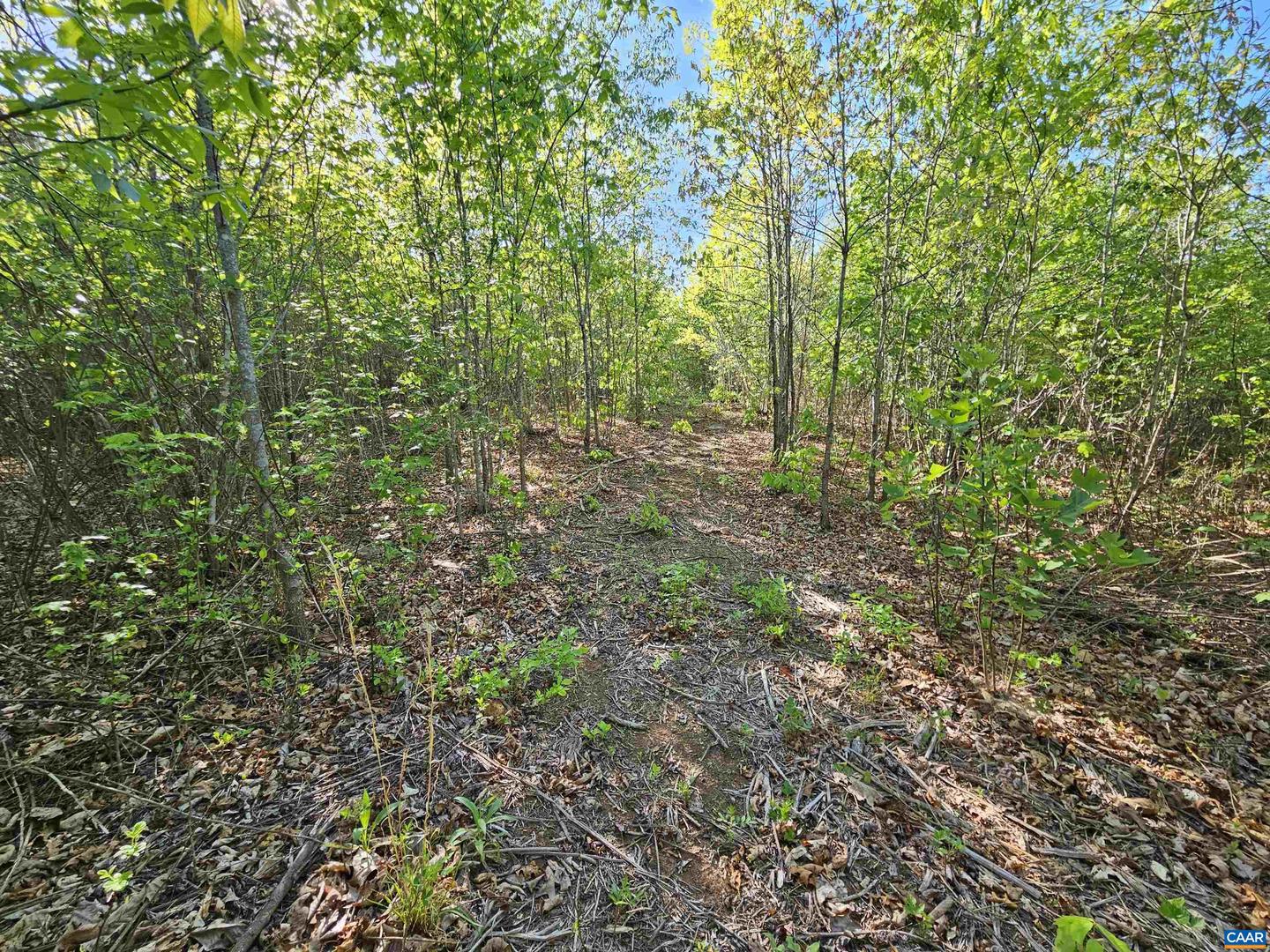 TBD ANDERSONVILLE RD, DILLWYN, Virginia 23936, ,Farm,For sale,TBD ANDERSONVILLE RD,664236 MLS # 664236