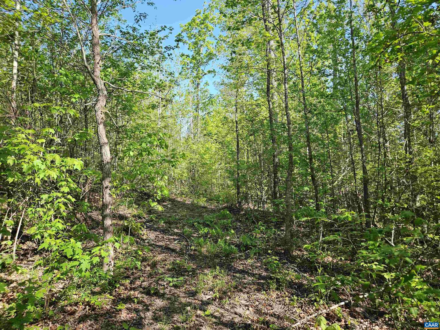 TBD ANDERSONVILLE RD, DILLWYN, Virginia 23936, ,Farm,For sale,TBD ANDERSONVILLE RD,664236 MLS # 664236