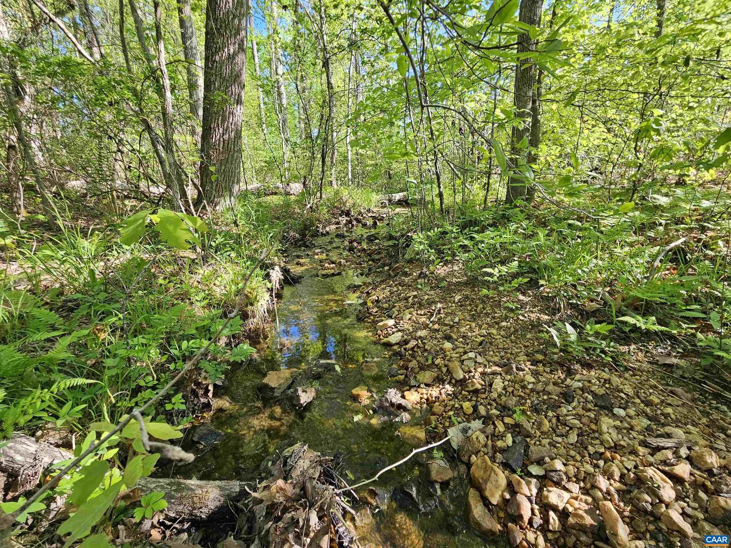 TBD ANDERSONVILLE RD, DILLWYN, Virginia 23936, ,Farm,For sale,TBD ANDERSONVILLE RD,664236 MLS # 664236