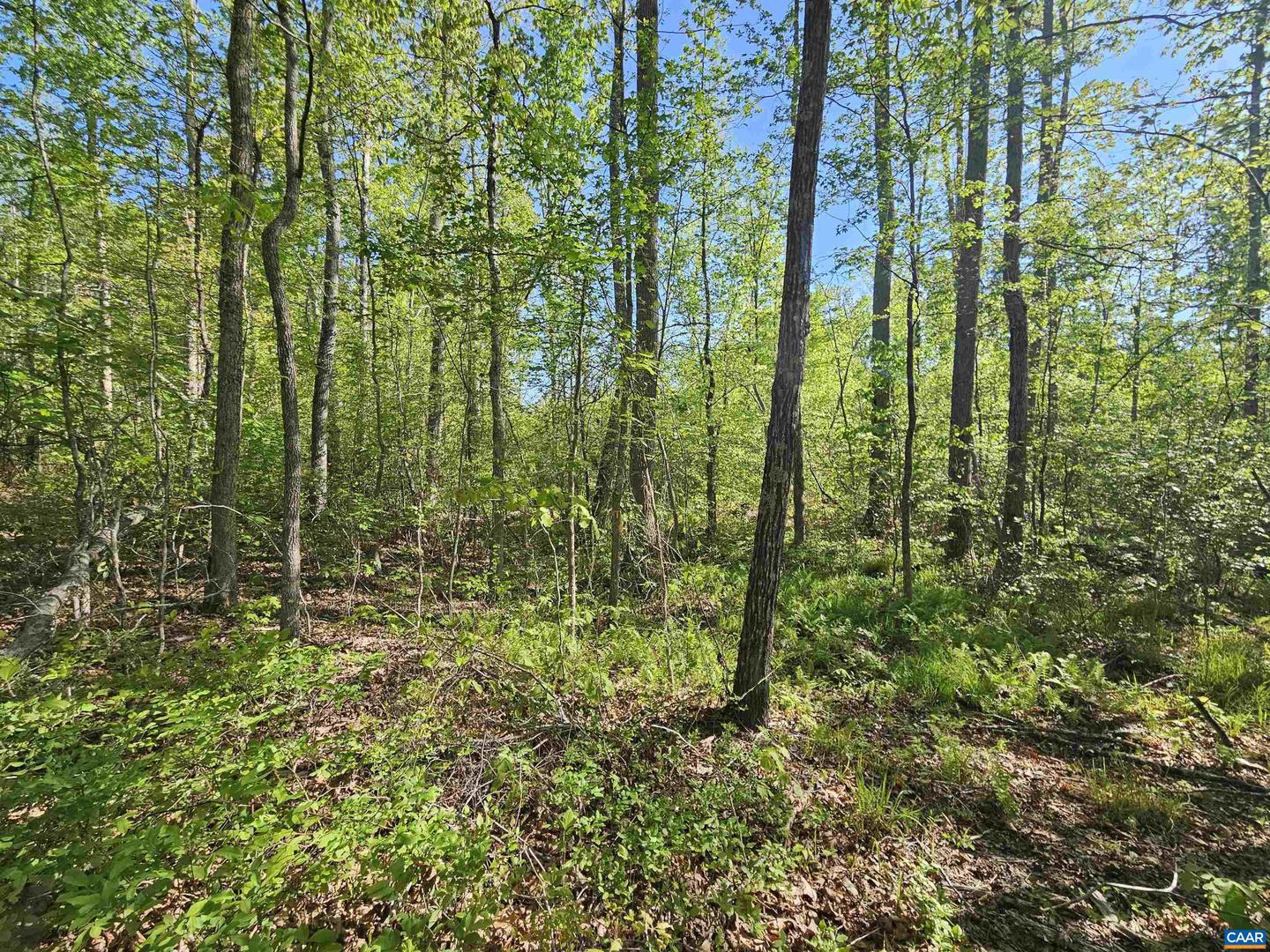 TBD ANDERSONVILLE RD, DILLWYN, Virginia 23936, ,Farm,For sale,TBD ANDERSONVILLE RD,664236 MLS # 664236