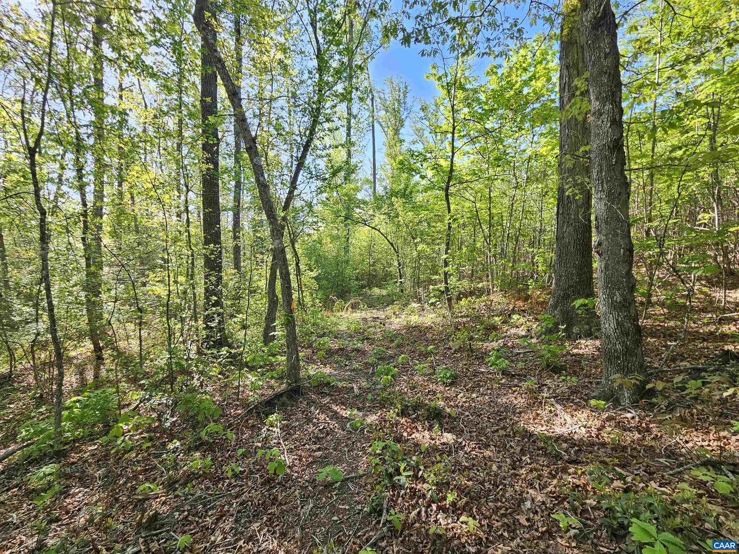 TBD ANDERSONVILLE RD, DILLWYN, Virginia 23936, ,Farm,For sale,TBD ANDERSONVILLE RD,664236 MLS # 664236