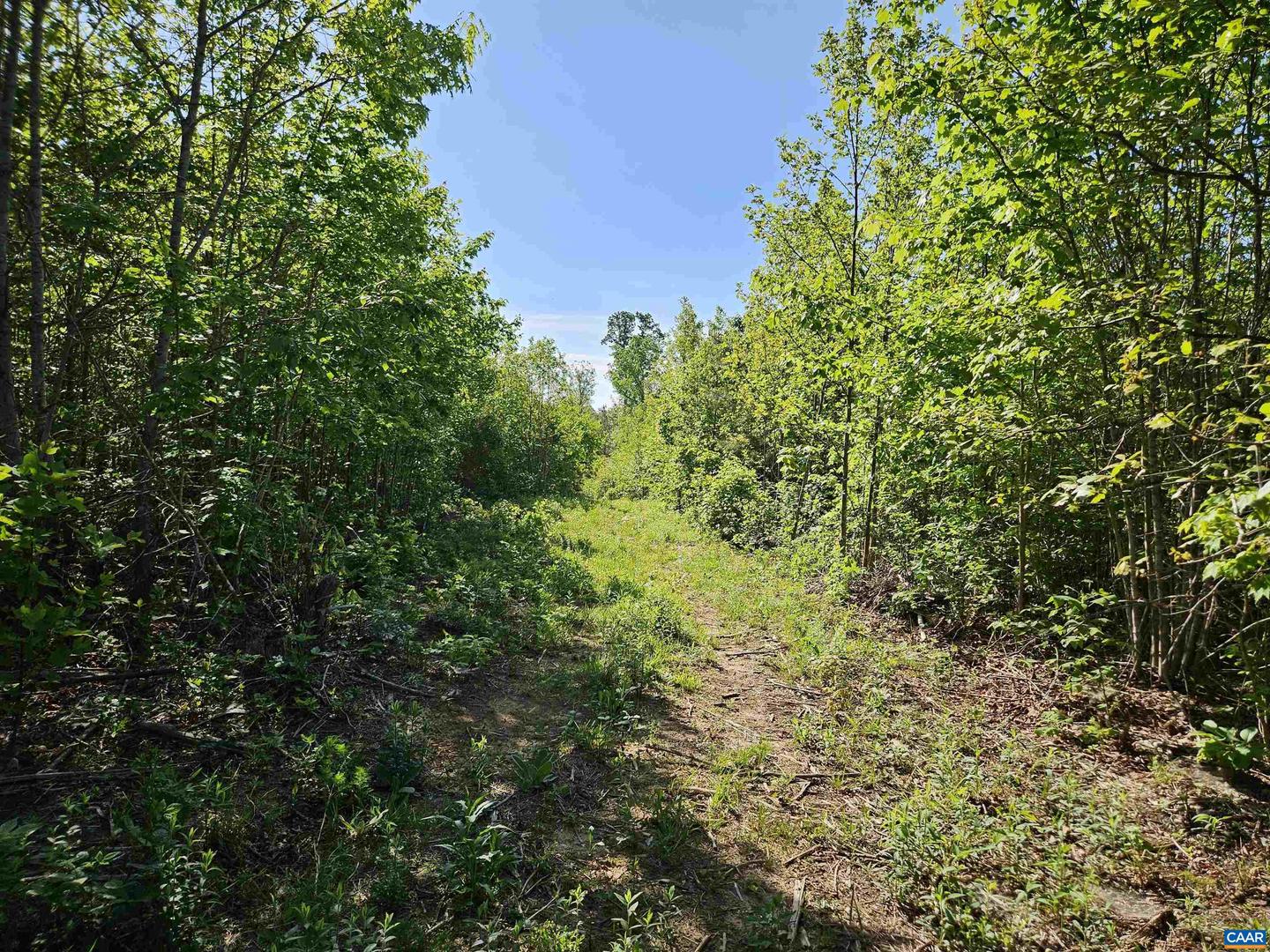 TBD ANDERSONVILLE RD, DILLWYN, Virginia 23936, ,Farm,For sale,TBD ANDERSONVILLE RD,664236 MLS # 664236