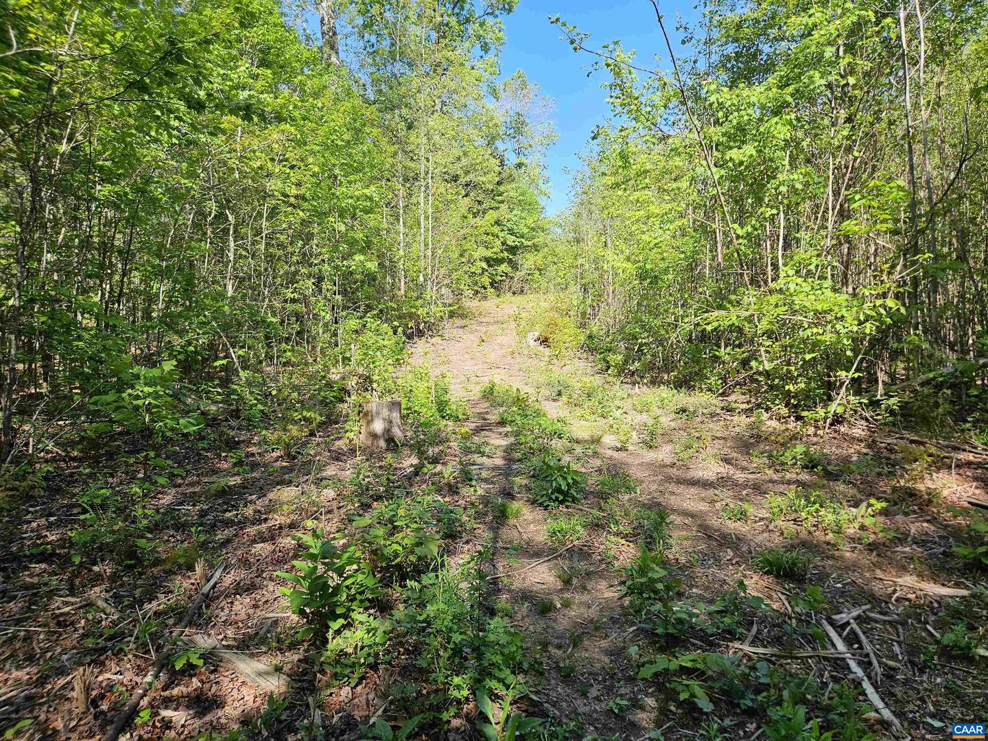 TBD ANDERSONVILLE RD, DILLWYN, Virginia 23936, ,Farm,For sale,TBD ANDERSONVILLE RD,664236 MLS # 664236