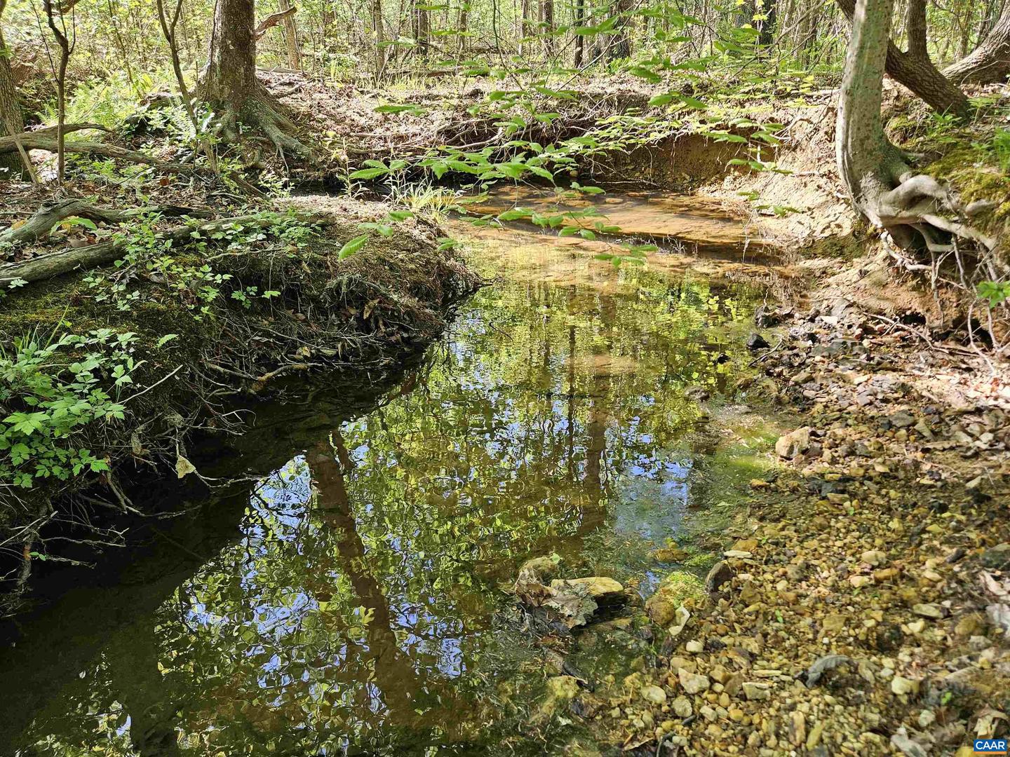TBD ANDERSONVILLE RD, DILLWYN, Virginia 23936, ,Farm,For sale,TBD ANDERSONVILLE RD,664236 MLS # 664236