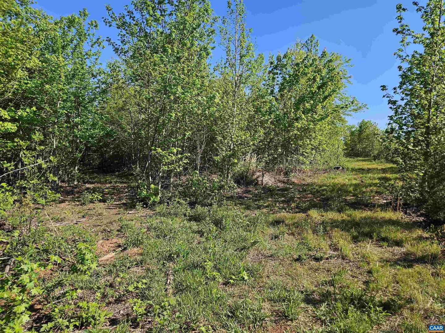TBD ANDERSONVILLE RD, DILLWYN, Virginia 23936, ,Farm,For sale,TBD ANDERSONVILLE RD,664236 MLS # 664236
