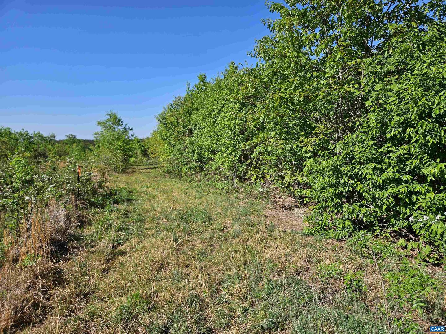 TBD ANDERSONVILLE RD, DILLWYN, Virginia 23936, ,Farm,For sale,TBD ANDERSONVILLE RD,664236 MLS # 664236