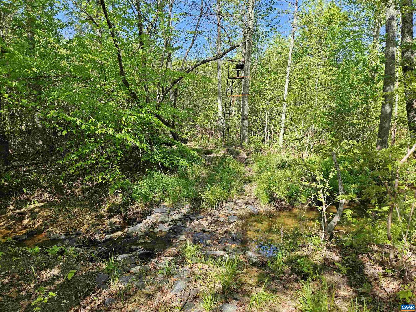 TBD ANDERSONVILLE RD, DILLWYN, Virginia 23936, ,Farm,For sale,TBD ANDERSONVILLE RD,664236 MLS # 664236