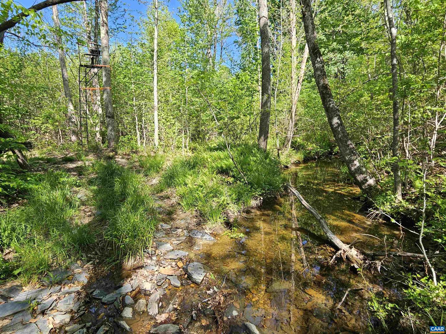 TBD ANDERSONVILLE RD, DILLWYN, Virginia 23936, ,Farm,For sale,TBD ANDERSONVILLE RD,664236 MLS # 664236