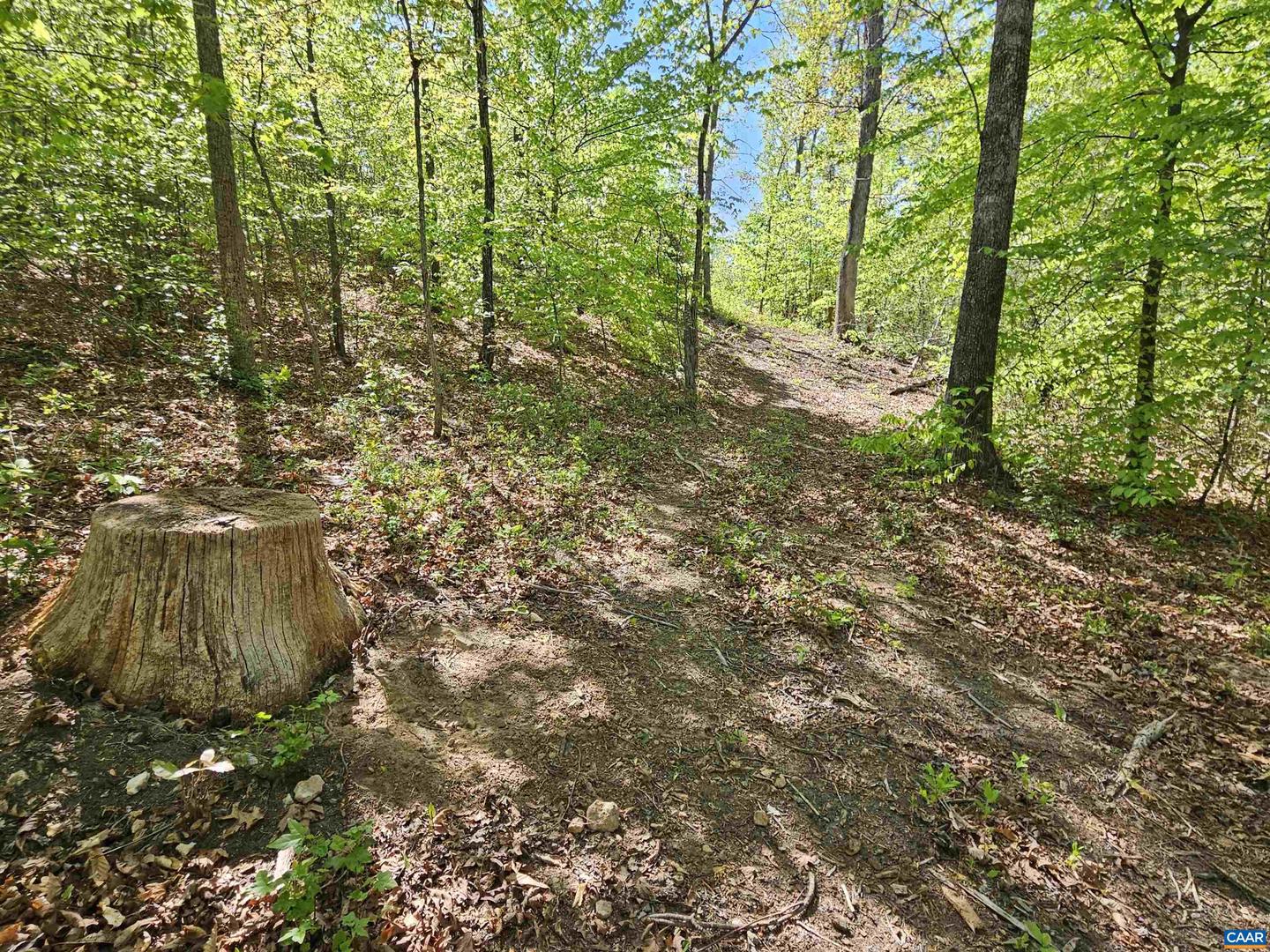 TBD ANDERSONVILLE RD, DILLWYN, Virginia 23936, ,Farm,For sale,TBD ANDERSONVILLE RD,664236 MLS # 664236