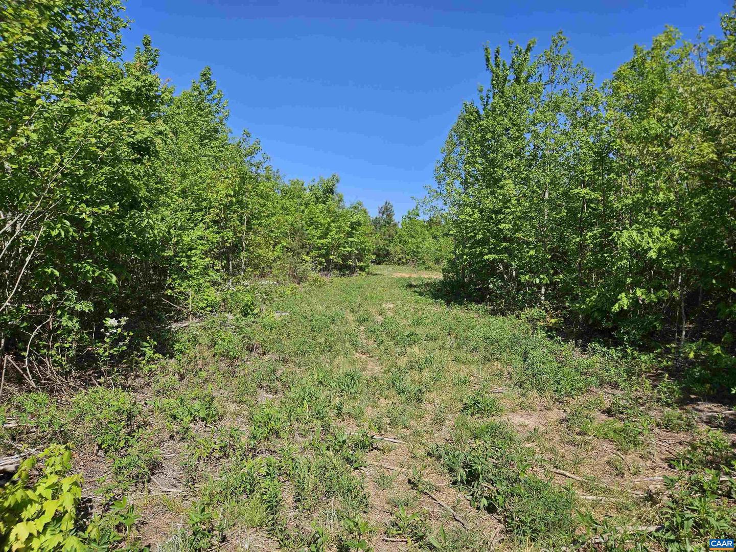 TBD ANDERSONVILLE RD, DILLWYN, Virginia 23936, ,Farm,For sale,TBD ANDERSONVILLE RD,664236 MLS # 664236