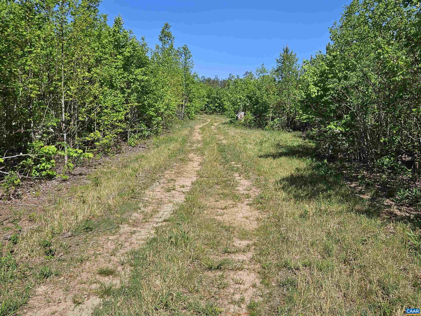 TBD ANDERSONVILLE RD, DILLWYN, Virginia 23936, ,Farm,For sale,TBD ANDERSONVILLE RD,664236 MLS # 664236