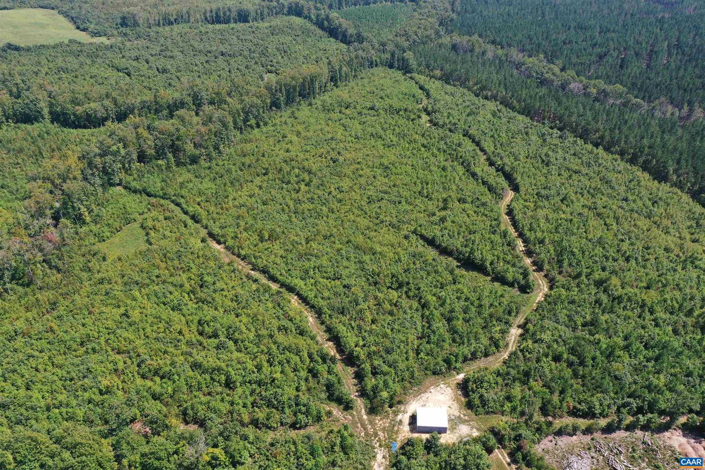 TBD ANDERSONVILLE RD, DILLWYN, Virginia 23936, ,Farm,For sale,TBD ANDERSONVILLE RD,664236 MLS # 664236