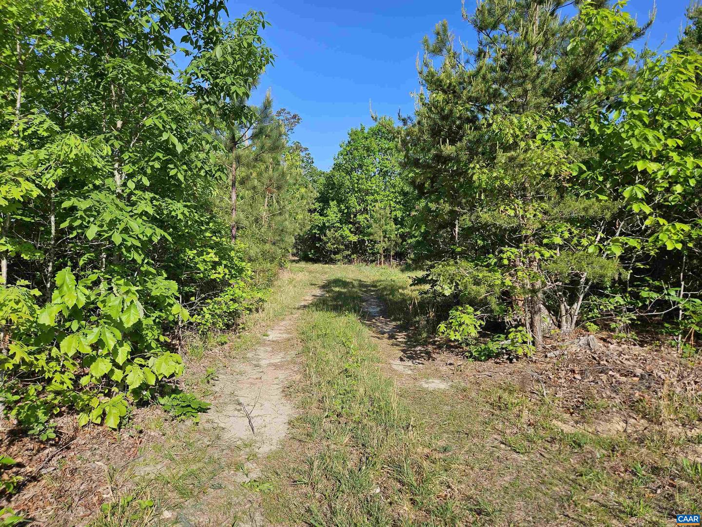 TBD ANDERSONVILLE RD, DILLWYN, Virginia 23936, ,Farm,For sale,TBD ANDERSONVILLE RD,664236 MLS # 664236