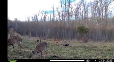 TBD ANDERSONVILLE RD, DILLWYN, Virginia 23936, ,Farm,For sale,TBD ANDERSONVILLE RD,664236 MLS # 664236