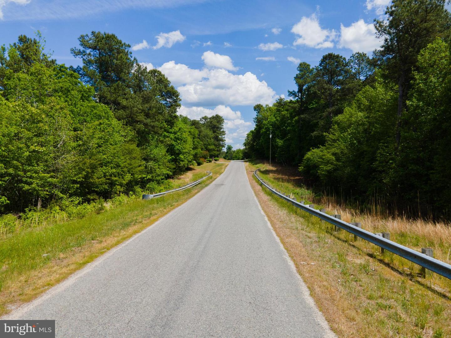 00 GREENTOWN DR, LAWRENCEVILLE, Virginia 23868, ,Land,For sale,00 GREENTOWN DR,VABW2000074 MLS # VABW2000074
