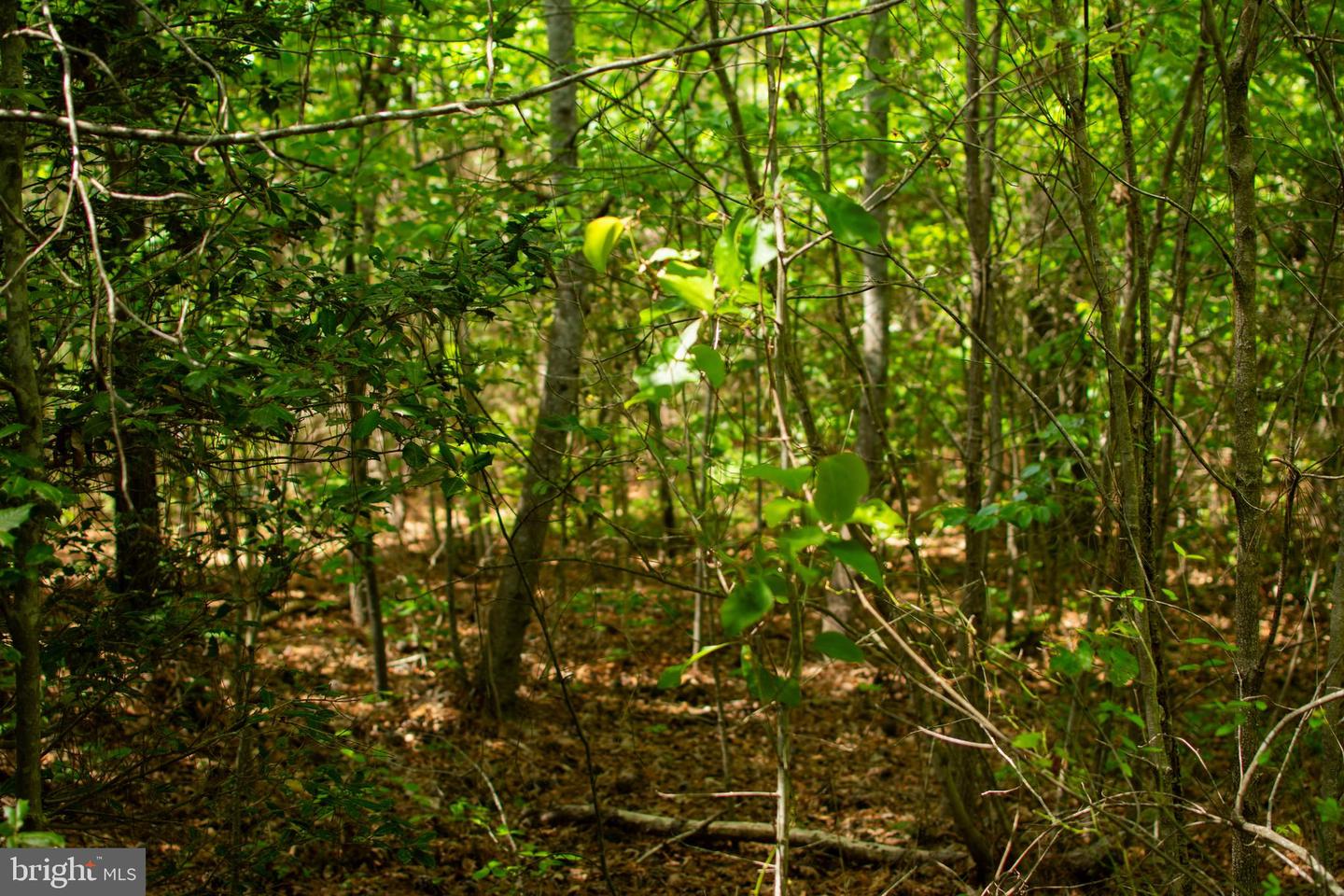 00 GREENTOWN DR, LAWRENCEVILLE, Virginia 23868, ,Land,For sale,00 GREENTOWN DR,VABW2000074 MLS # VABW2000074