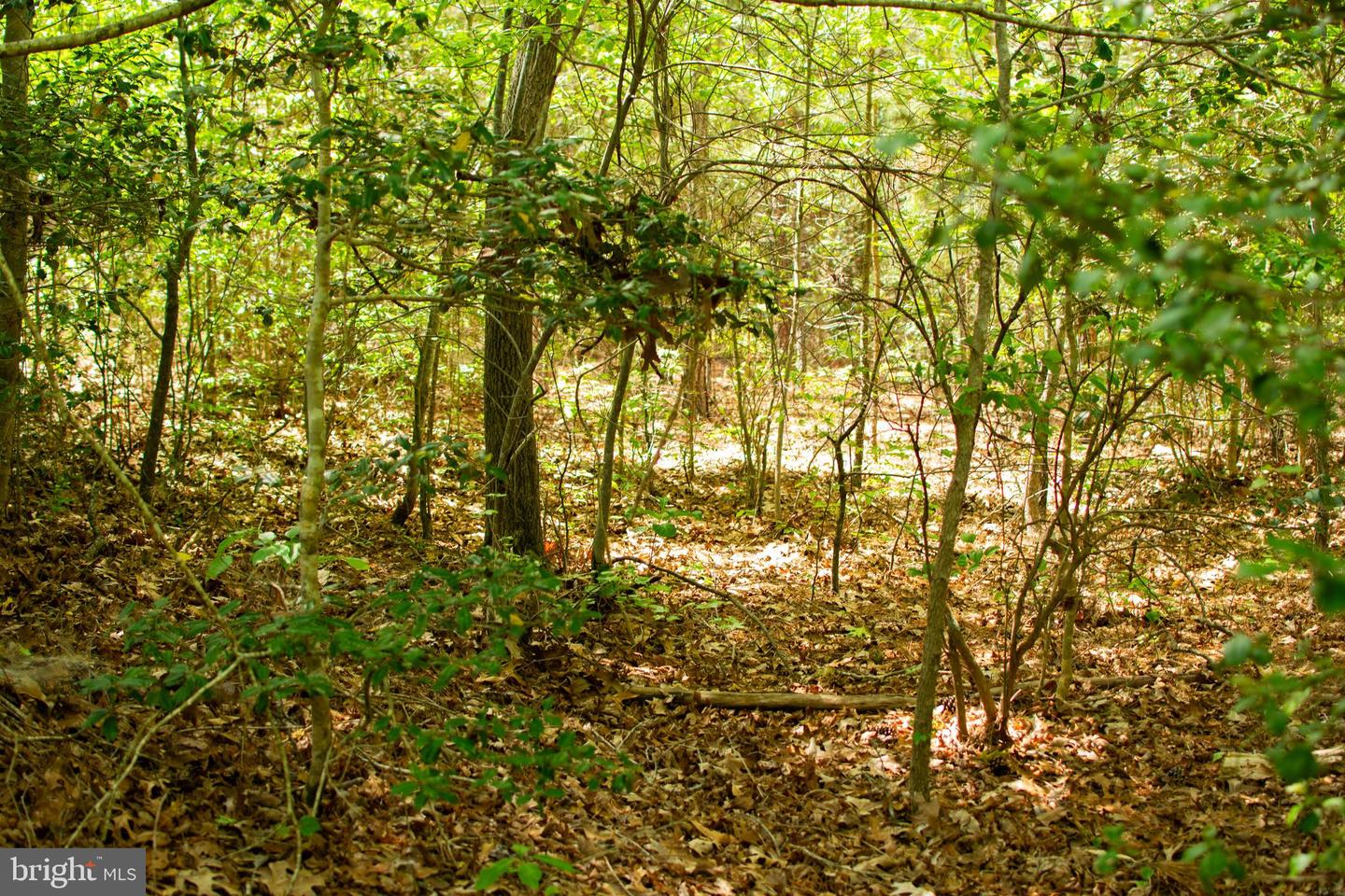 00 GREENTOWN DR, LAWRENCEVILLE, Virginia 23868, ,Land,For sale,00 GREENTOWN DR,VABW2000074 MLS # VABW2000074