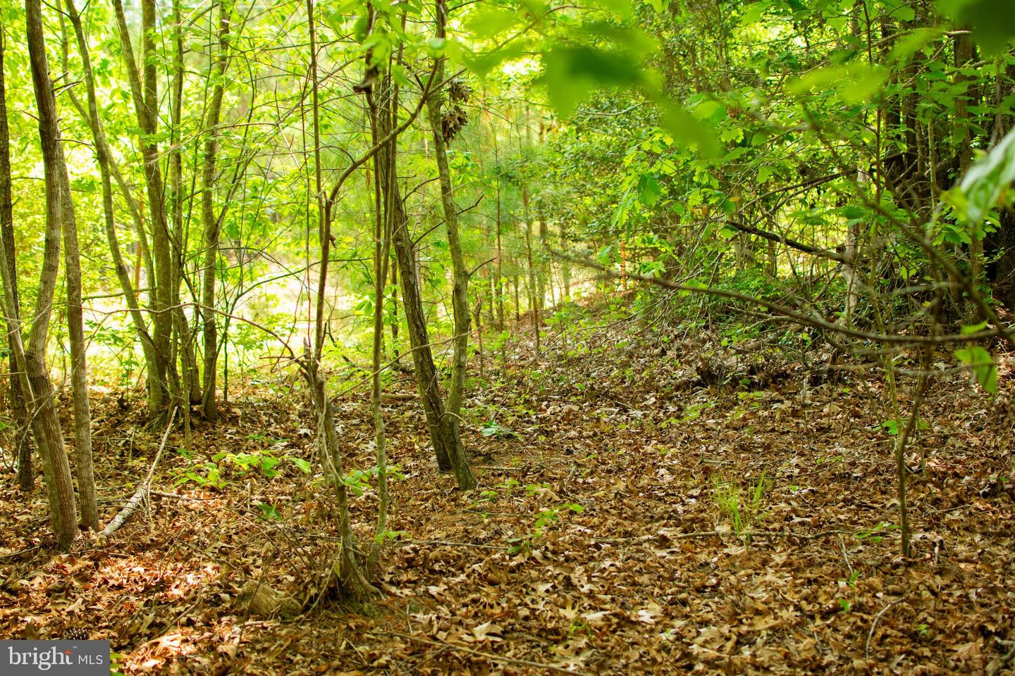 00 GREENTOWN DR, LAWRENCEVILLE, Virginia 23868, ,Land,For sale,00 GREENTOWN DR,VABW2000074 MLS # VABW2000074