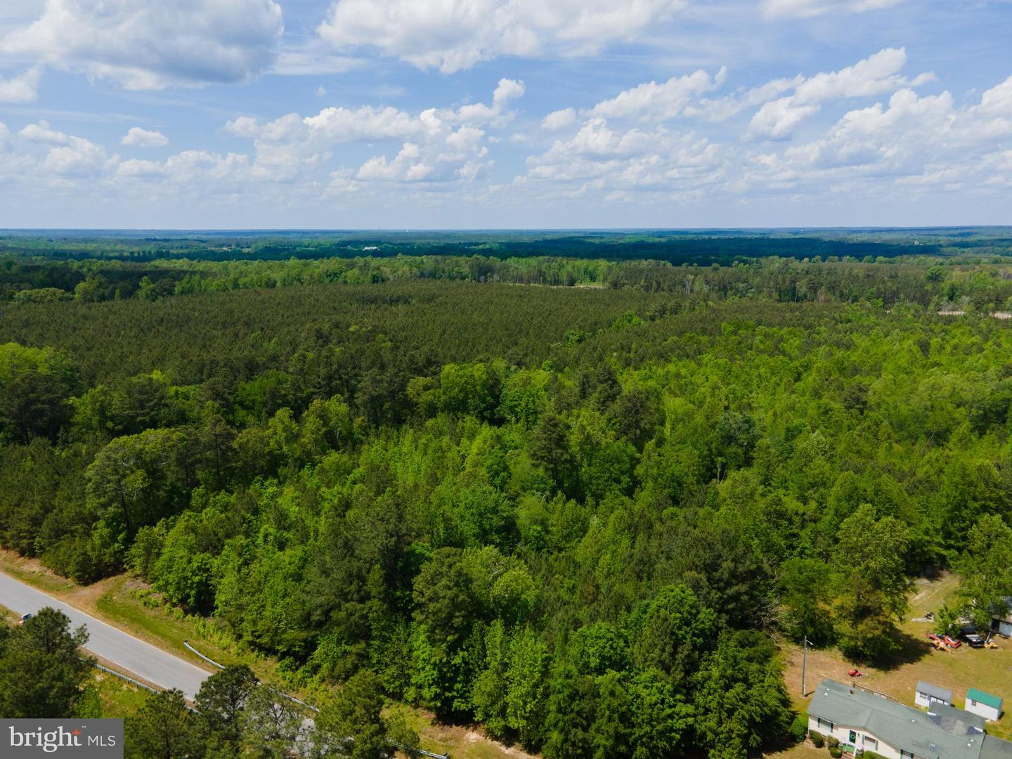 00 GREENTOWN DR, LAWRENCEVILLE, Virginia 23868, ,Land,For sale,00 GREENTOWN DR,VABW2000074 MLS # VABW2000074