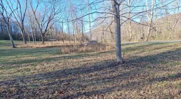 1505 NETHERS RD #9-25H, SPERRYVILLE, Virginia 22740, ,Land,For sale,1505 NETHERS RD #9-25H,664257 MLS # 664257