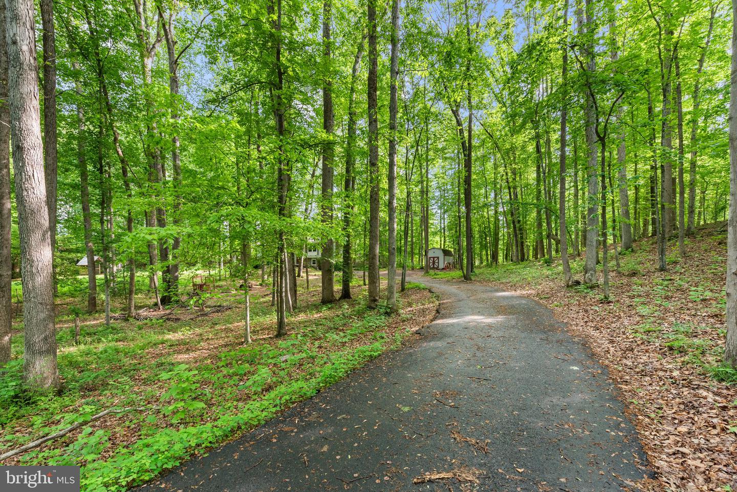 13548 FROST DR, NOKESVILLE, Virginia 20181, 4 Bedrooms Bedrooms, ,3 BathroomsBathrooms,Residential,For sale,13548 FROST DR,VAPW2090666 MLS # VAPW2090666