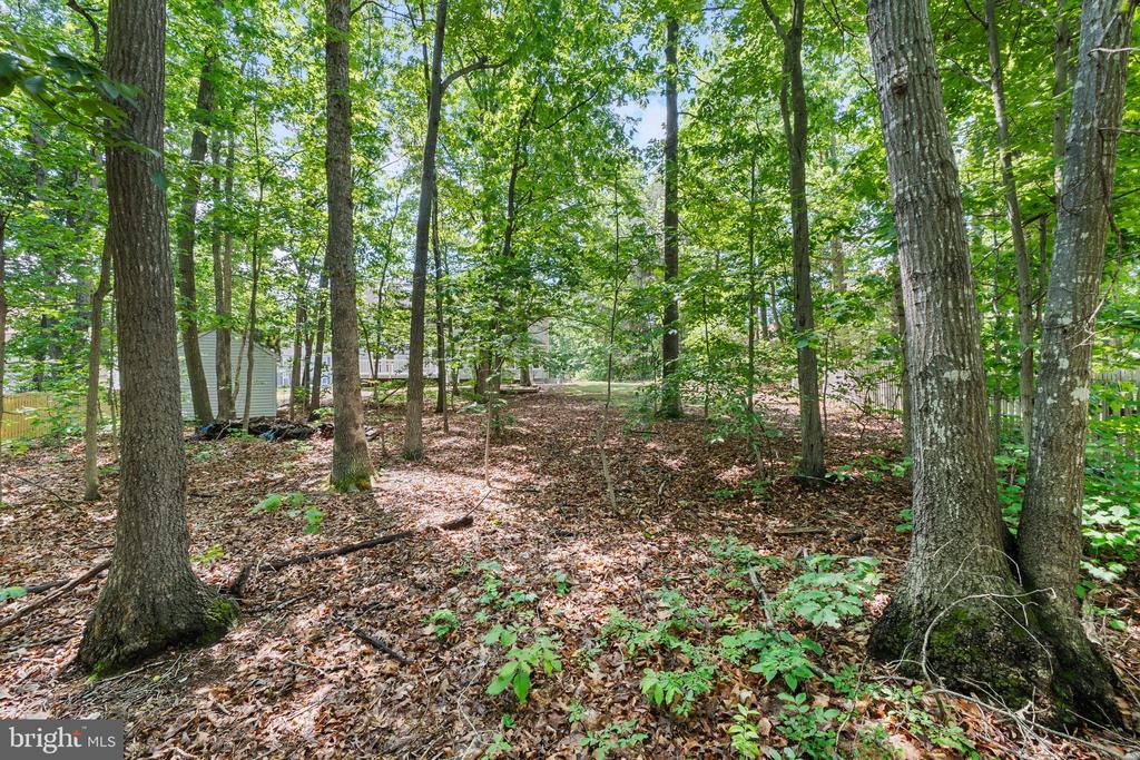 5015 BROOKSHIRE CT E, FREDERICKSBURG, Virginia 22408, 4 Bedrooms Bedrooms, ,2 BathroomsBathrooms,Residential,5015 BROOKSHIRE CT E,VASP2032662 MLS # VASP2032662