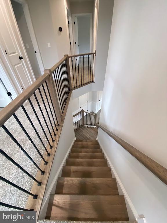 8205 COLISE LN, SPOTSYLVANIA, Virginia 22553, 4 Bedrooms Bedrooms, ,2 BathroomsBathrooms,Residential,8205 COLISE LN,VASP2032946 MLS # VASP2032946