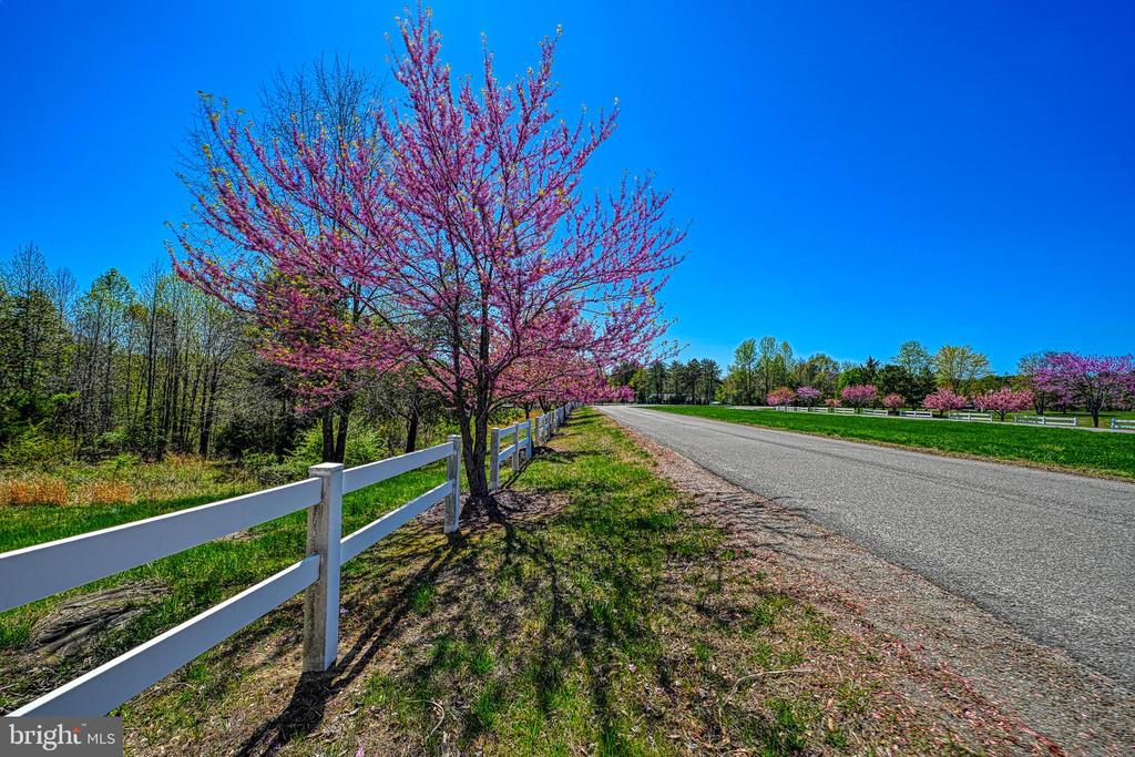 295 HEMLOCK LOOP, MINERAL, Virginia 23117, 4 Bedrooms Bedrooms, ,2 BathroomsBathrooms,Residential,295 HEMLOCK LOOP,VALA2007828 MLS # VALA2007828