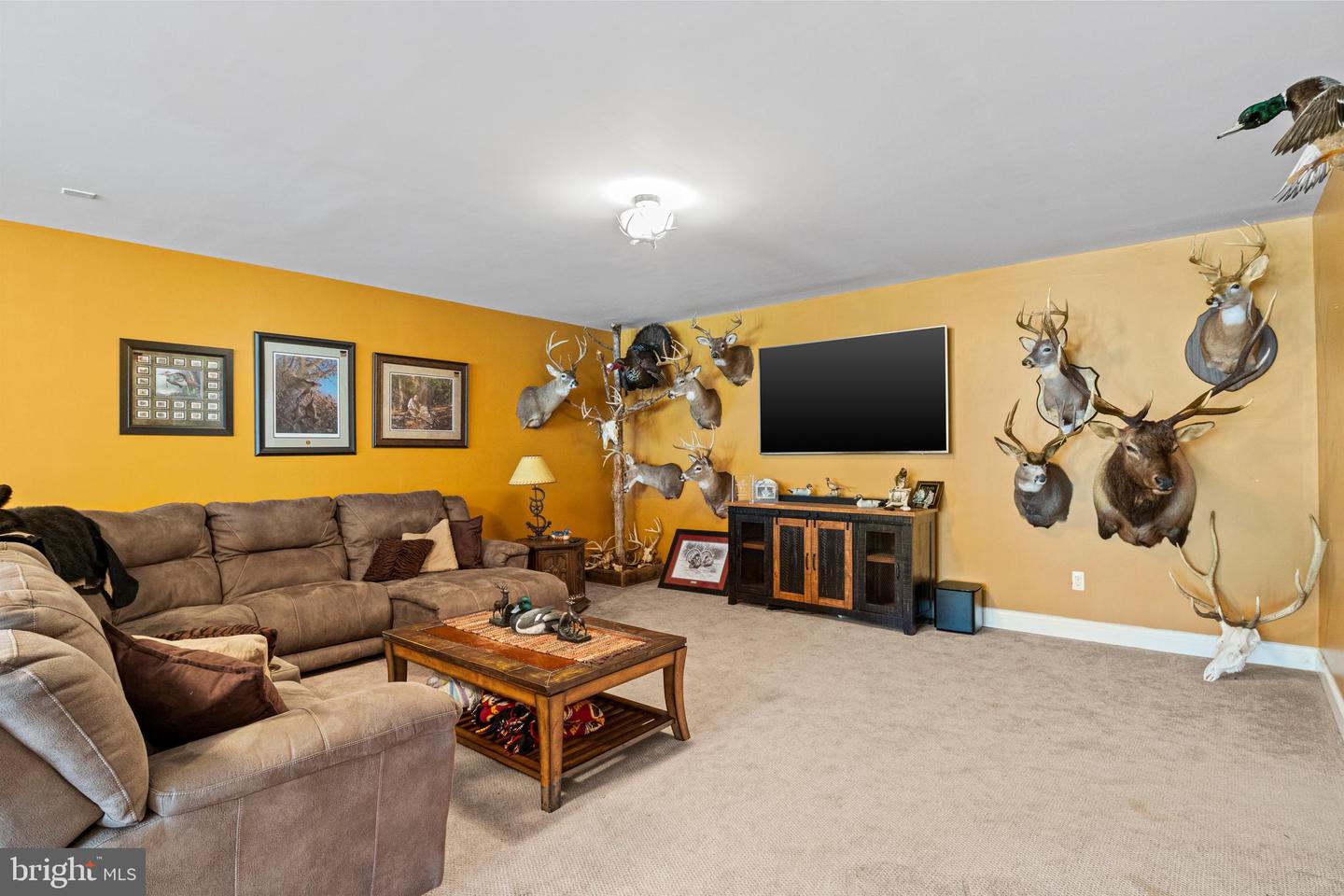 7312 OAK LN, MARSHALL, Virginia 20115, 4 Bedrooms Bedrooms, ,3 BathroomsBathrooms,Farm,For sale,7312 OAK LN,VAFQ2016554 MLS # VAFQ2016554
